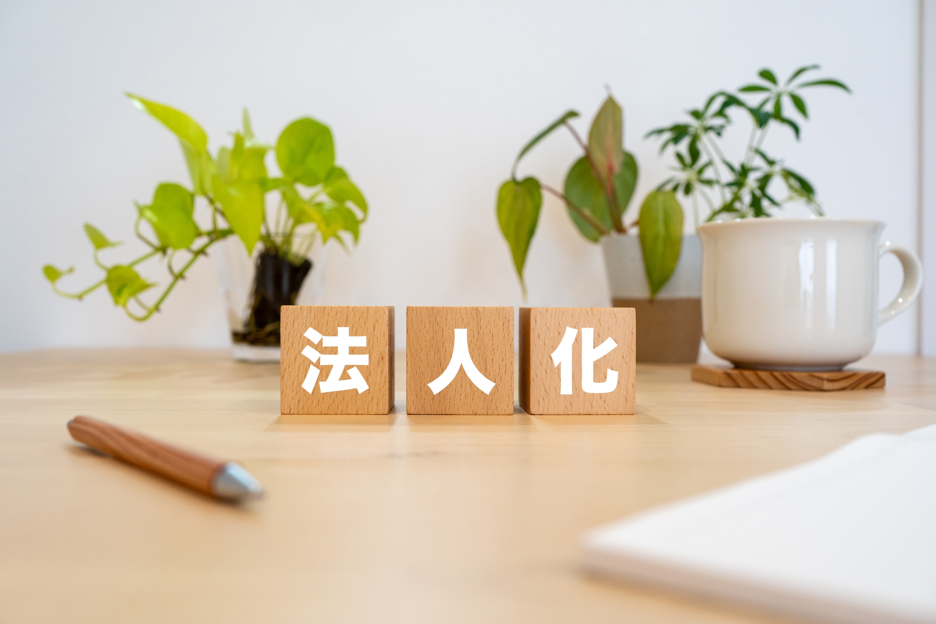 法人化とは？メリットとデメリットを徹底解説！