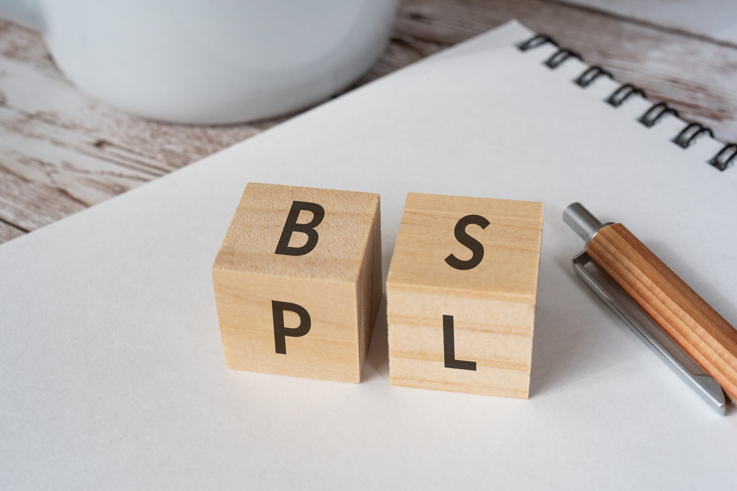 PLとBSの違いは？見方の基本とビジネスに即効活用できるポイントをわかりやすく解説