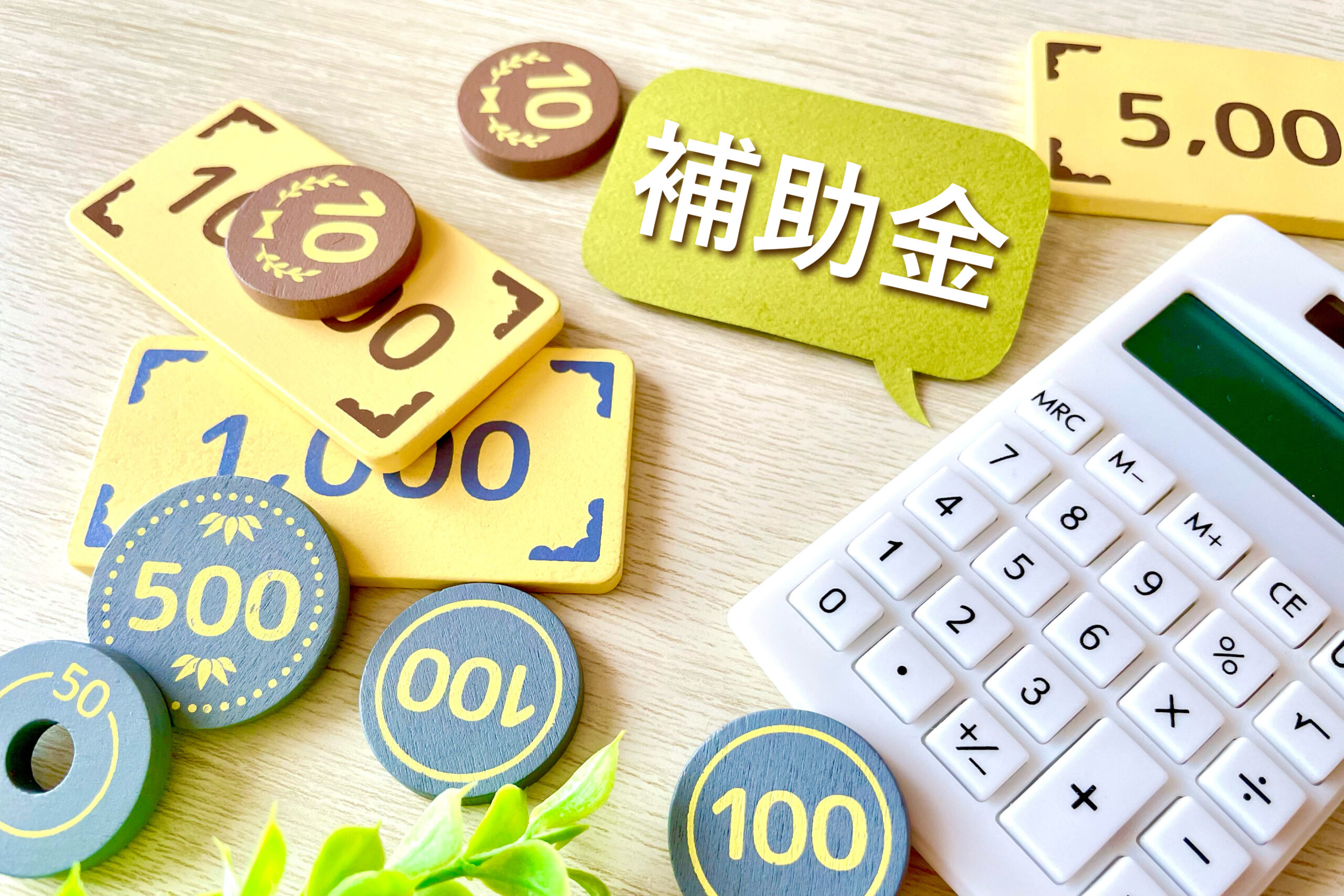 【2025最新】個人事業主が利用できる補助金・助成金まとめ！それぞれのメリット・注意点も解説